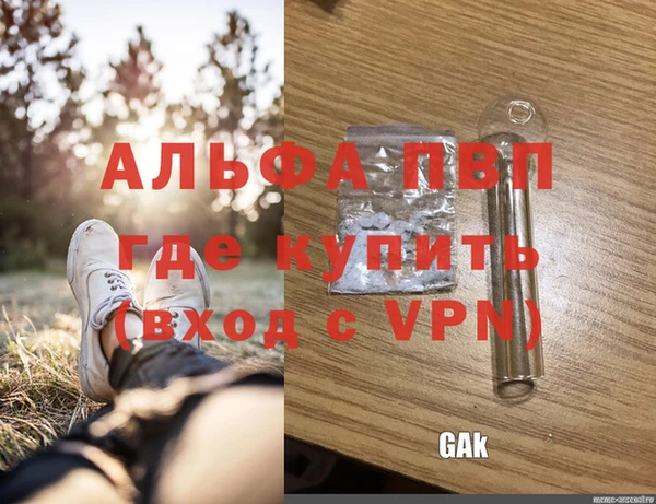 apvp Верея