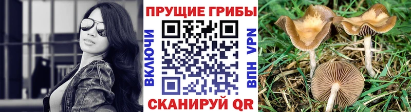 Галлюциногенные грибы мухоморы  Игарка 
