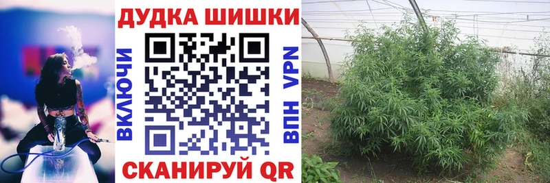 блэк спрут ссылка  закладки  Игарка  Марихуана SATIVA & INDICA 